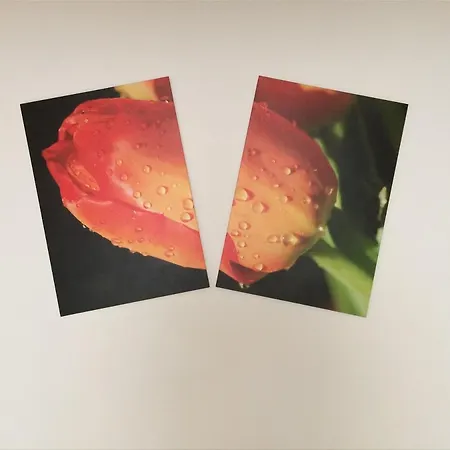 Apartamento Cuore Di Testaccio *