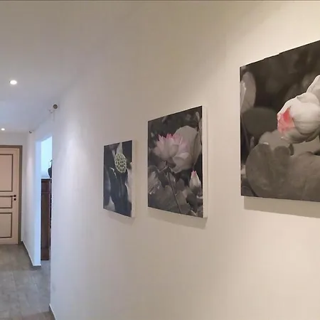 Cuore Di Testaccio Roma